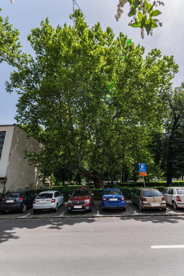 Sabin Apartments Private Parking 布拉索夫 外观 照片