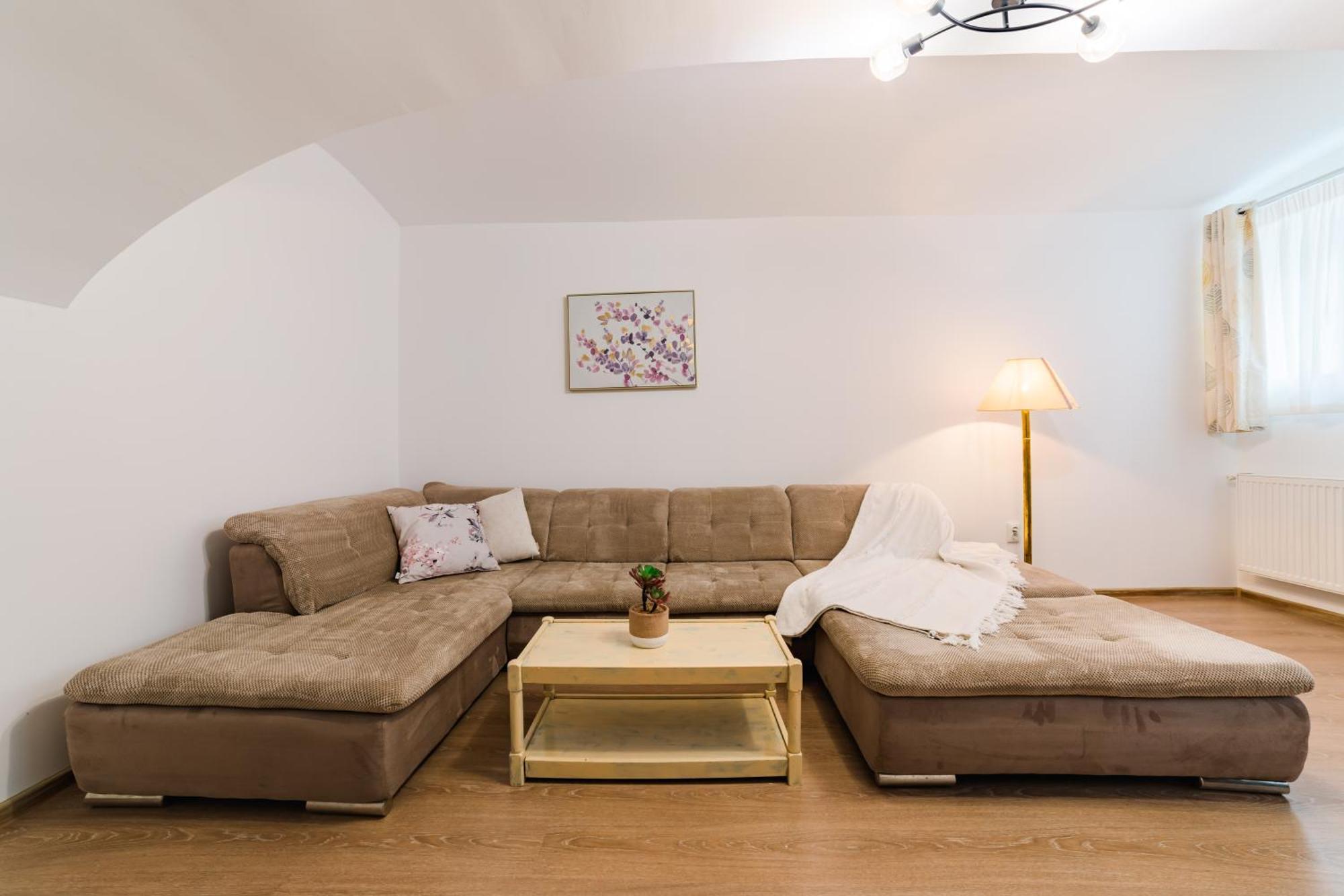 Sabin Apartments Private Parking 布拉索夫 外观 照片