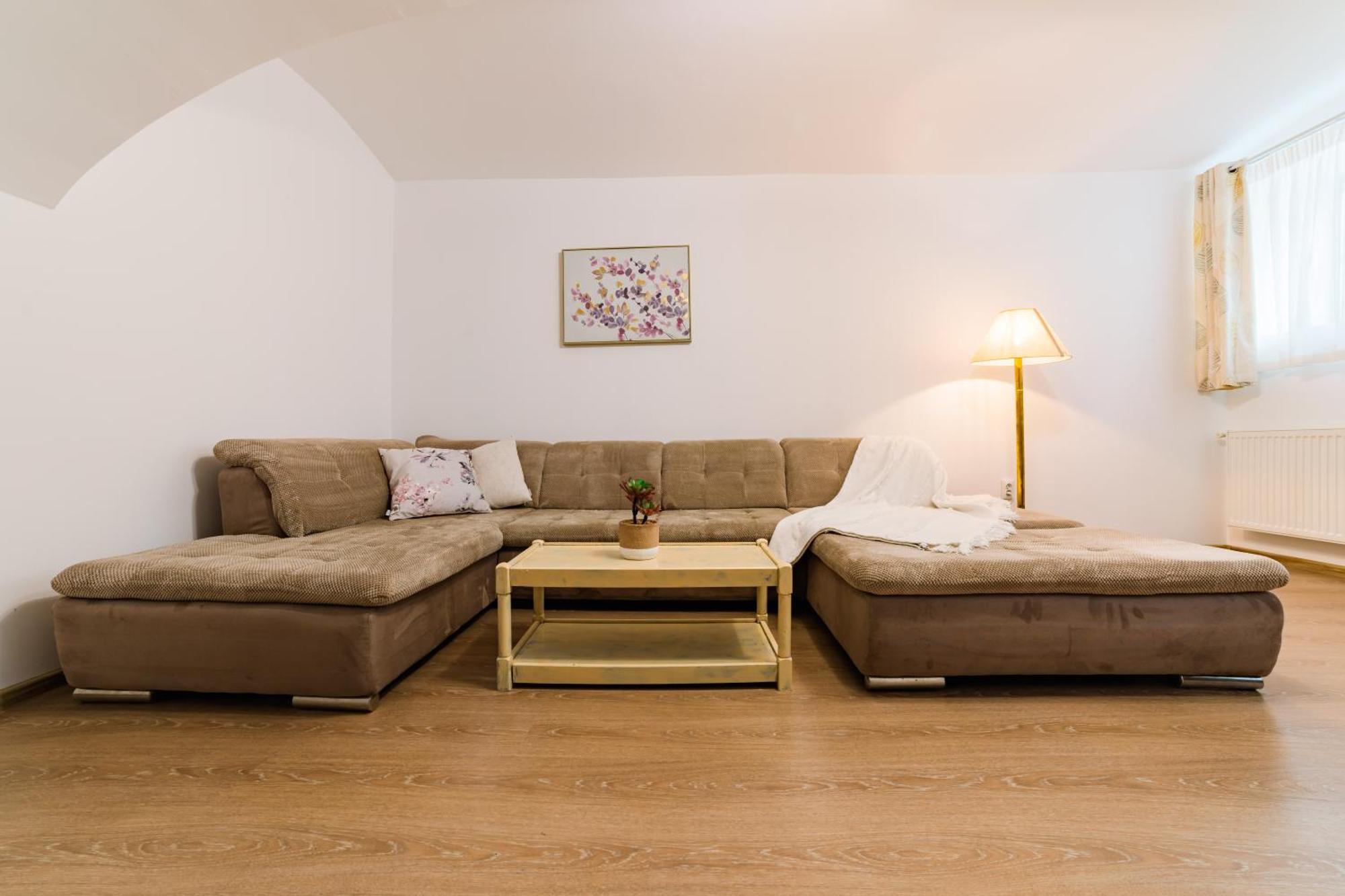 Sabin Apartments Private Parking 布拉索夫 外观 照片