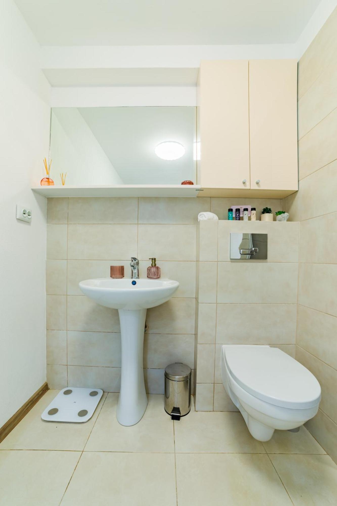 Sabin Apartments Private Parking 布拉索夫 外观 照片
