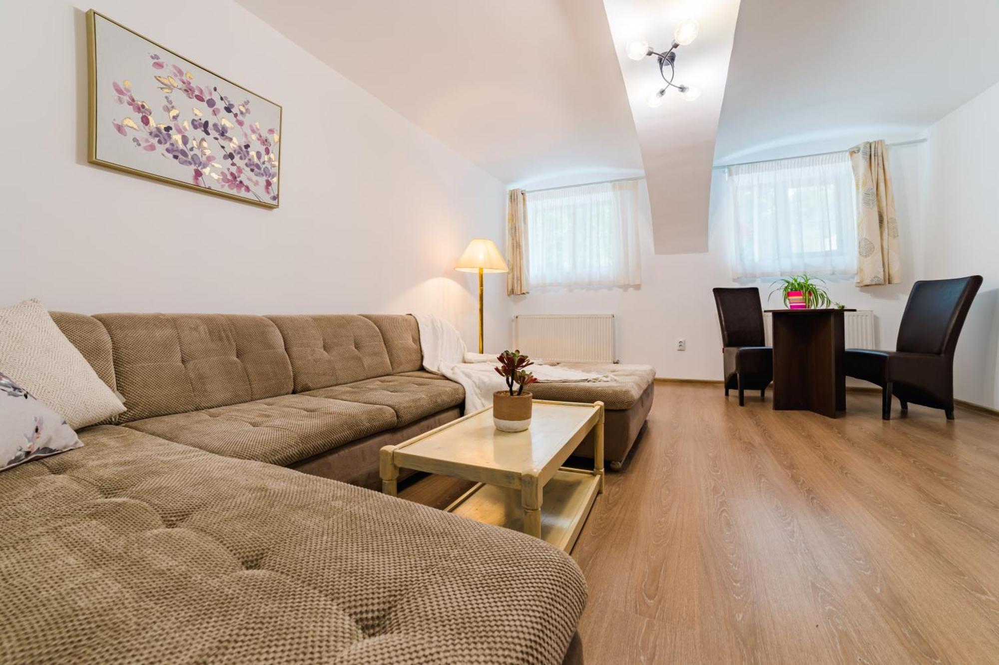 Sabin Apartments Private Parking 布拉索夫 外观 照片